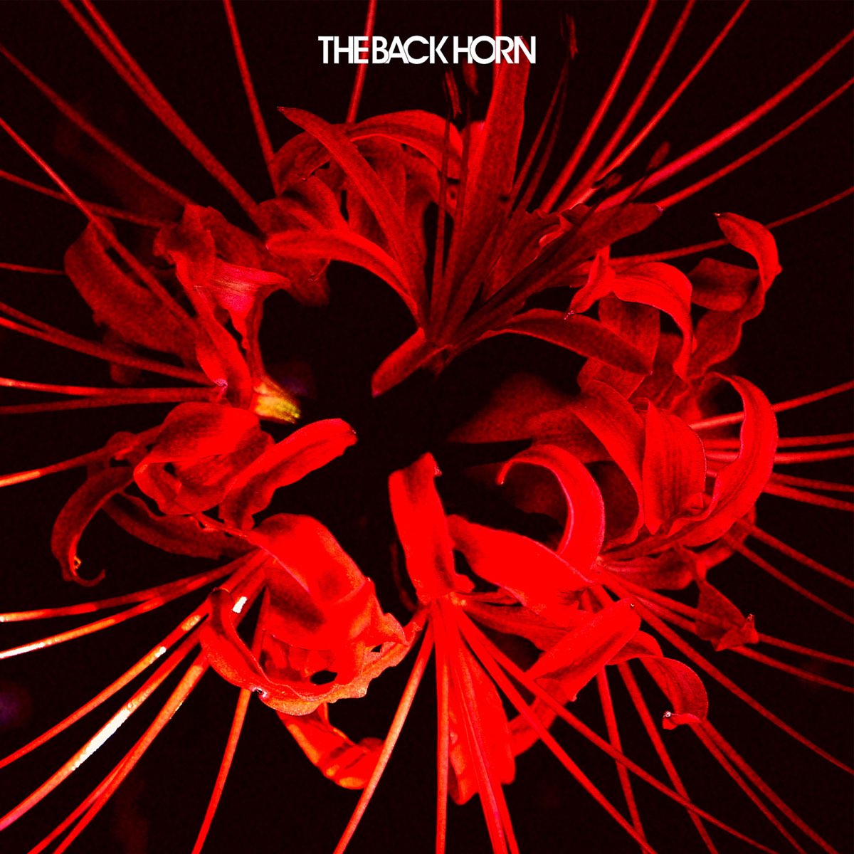 Lycoris Radiata - Single by THE BACK HORN 