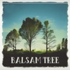 Balsam Tree - Single, 2023