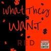 What They Want - Single