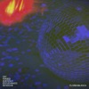 Floridablanca - La Gran Belleza