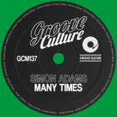Many Times (Extended Mix) artwork
