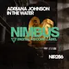 Stream & download In the Water - Single