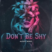 Don't Be Shy (Aleteo Remix) artwork