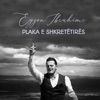 Plaka E Shkretëtirës - Single