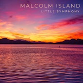 Malcolm Island artwork