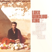 Luke Winslow-King - If These Walls Could Talk (None)