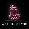 Why Tell Me Why (feat. Miriam Romeyn) - Single