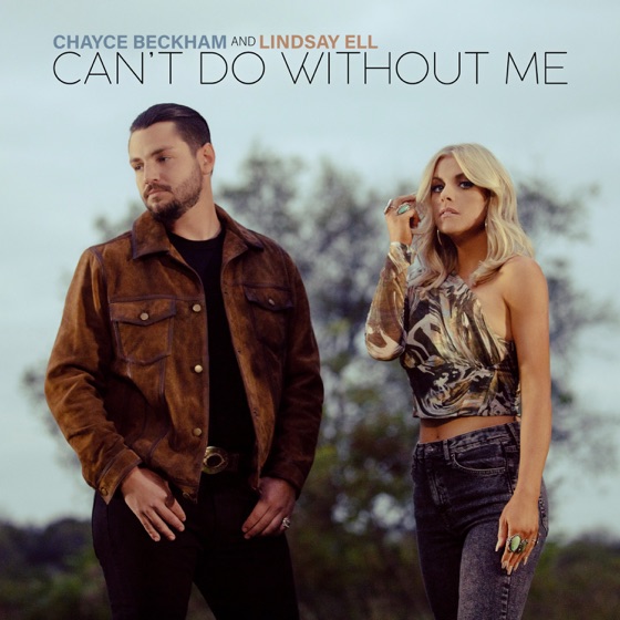 Cover artwork for Can't Do Without Me