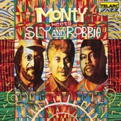 Monty Meets Sly And Robbie artwork