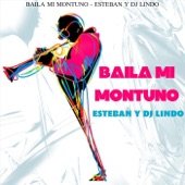 Baila Mi Montuno artwork