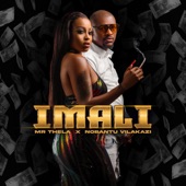 Imali artwork