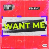 Want Me (feat. Nathalie Dorra) artwork