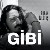 Gi̇bi̇ artwork