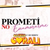 Prometí No Enamorarme - Single