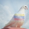 La Paz de Dios - Single