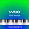 Woo - Pianostalgia FM lyrics