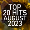 Top 20 Hits August 2023 (Instrumental)