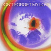 Don’t Forget My Love (Higgo Remix) artwork