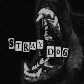 Stray Dog artwork