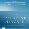 Das Experiment Hingabe: Mein Weg in die Vollkommenheit des Lebens - Michael Alan Singer