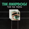 Find the Truth - Single