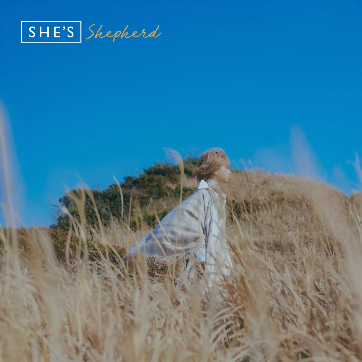 SHE'S - Shepherd (2023) [iTunes Plus AAC M4A]-新房子