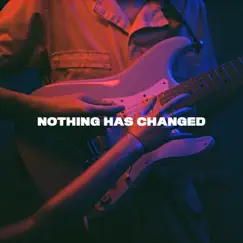 Nothing Has Changed - Single by The Polar Boys album reviews, ratings, credits