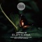 Ansh (Ricardo Piedra Remix) - Rudra lyrics