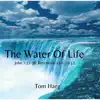 The Water of Life (Acoustic) - Single album lyrics, reviews, download