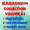 Karaoketop Collection, Vol. 43 (Karaoke Versions)