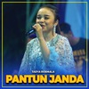 PANTUN JANDA - Single