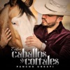 Entre Caballos y Corrales - Single