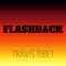Vom Schatten ins Licht (feat. Snaga & Pillath) - Travis Tibet lyrics