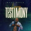 Living Testimony - Single