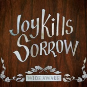 Joy Kills Sorrow - Gold in the Deep