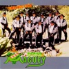 Banda Maguey - Tumbando Caña (El Alacrán)