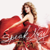 Taylor Swift - Enchanted artwork