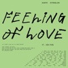 Feeling Of Love (feat. DāM-FunK) - Single