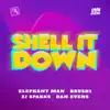 Stream & download Shell It Down (feat. Brush1 the Road Marshal) - Single