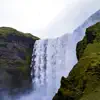 Relaxing Waterfall with Bird Sounds in the Background - Single album lyrics, reviews, download