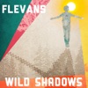 Wild Shadows - Single