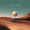 Too Good - Single