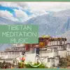 Tibetan Meditation Music & Rain Sound album lyrics, reviews, download