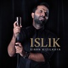 Sinan Kızılkaya - Islık (Albümde 12 eser yer almaktadır)