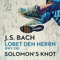 Lobet den Herrn, alle Heiden BWV 230 artwork