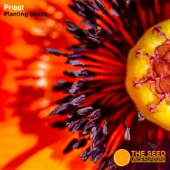 Planting Seeds - EP by Priest album reviews, ratings, credits