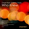 Who Knew (feat. Jaidene Veda) [Trancemicsoul Remix] song lyrics