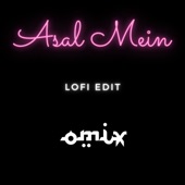 Asal Mein (Lofi Remix) artwork