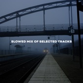 Slowed Mix of Selected Tracks - EP artwork