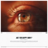 Are You Happy Now artwork